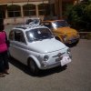 Pioppo 2008 (30)